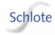 schlote-logo.png